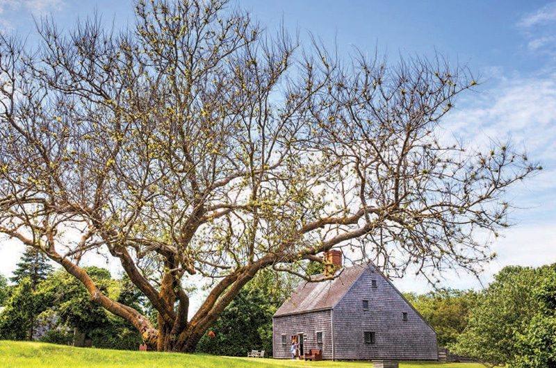 Photo Contest | Nantucket, MA