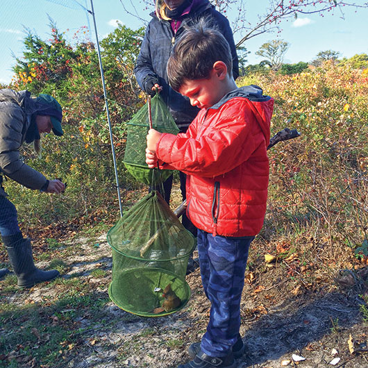 Citizen Science Weekend | Nantucket, MA