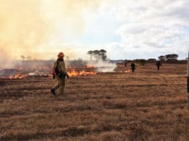 controlled burns | Nantucket, MA