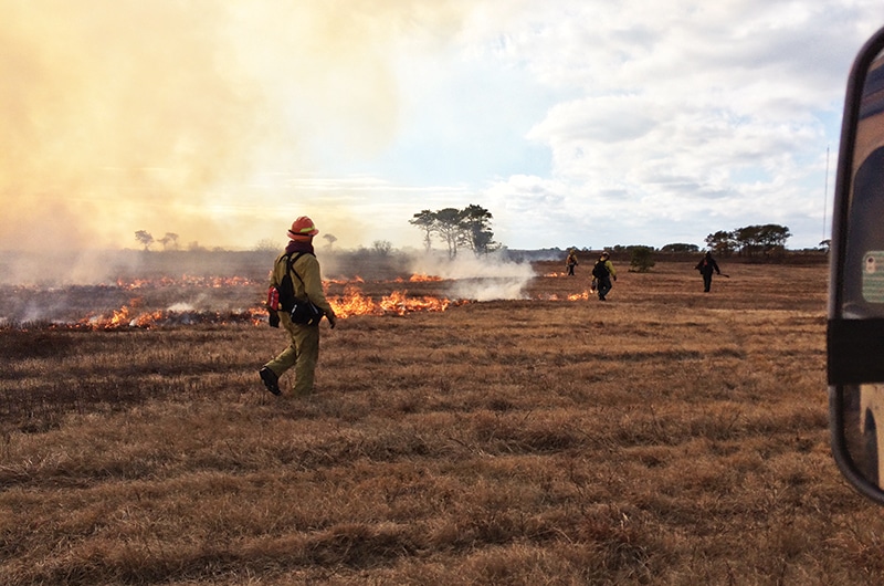 controlled burns | Nantucket, MA