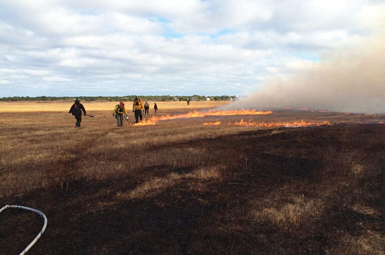Why Fire? Yesterdays Island, Todays Nantucket