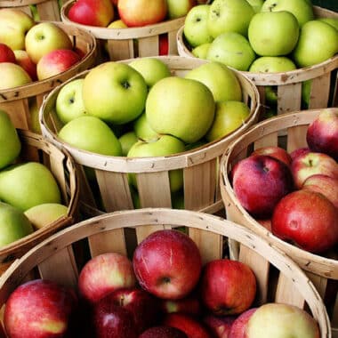 apples | Nantucket, MA