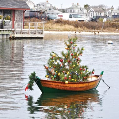 Boat Tree | Nantucket, MA