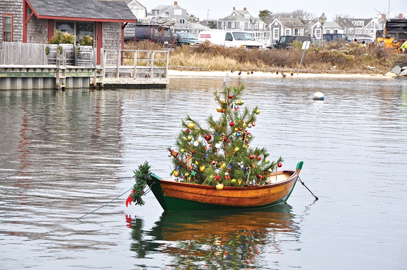 Boat Tree | Nantucket, MA
