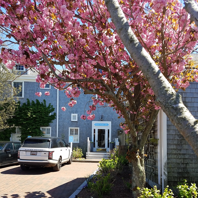 Brant Point Grill at the White Elephant | Nantucket, MA