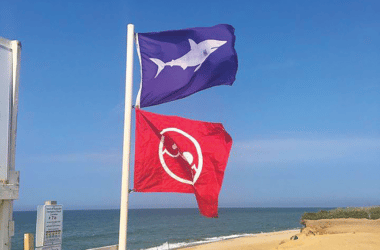 shark flag | Nantucket, MA