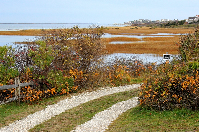 Autumn Nantucket | Nantucket, MA