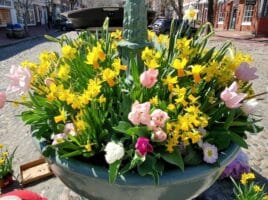 Nantucket Main Street Fountain