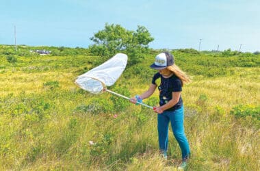 Girl with net in Nantucket grassland