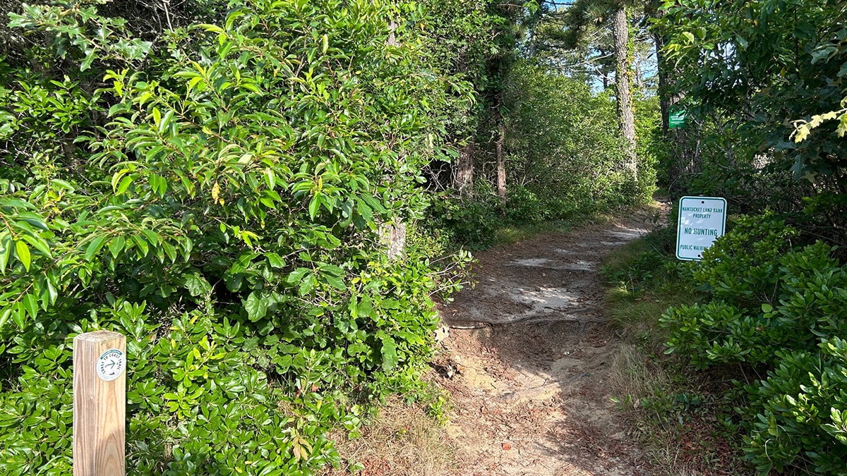 Exploring Nantucket Land Bank Trails Yesterdays Island, Todays Nantucket