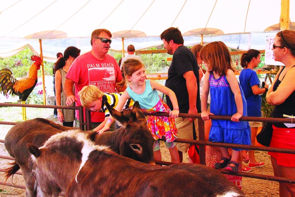 Nantucket Island Fair