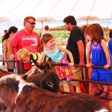 Nantucket Island Fair