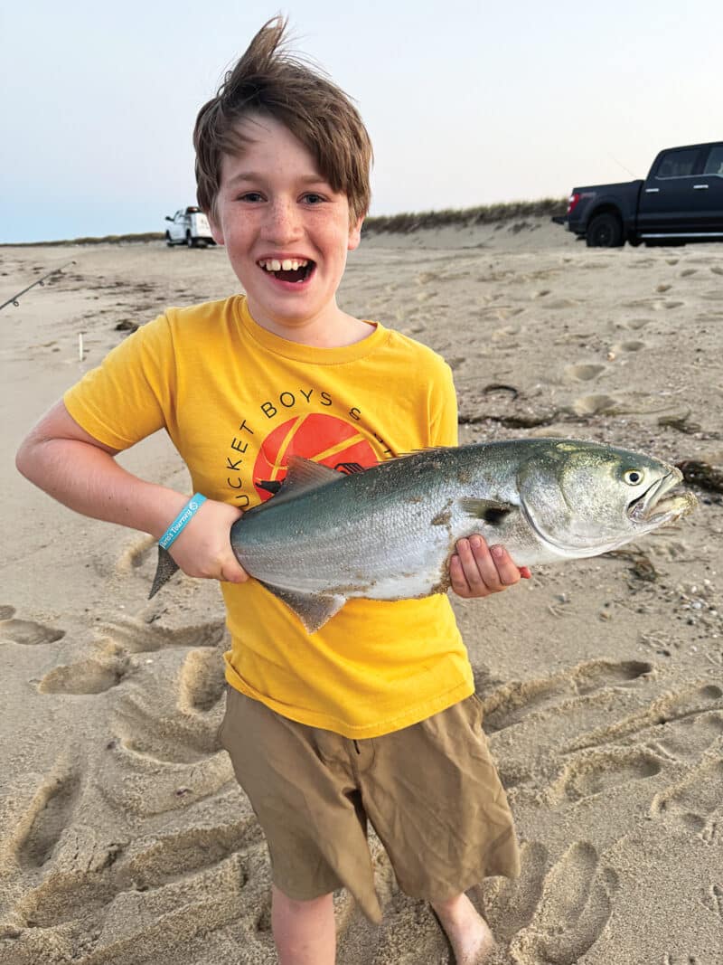 A Dog Has a Soul Yesterdays Island, Todays Nantucket