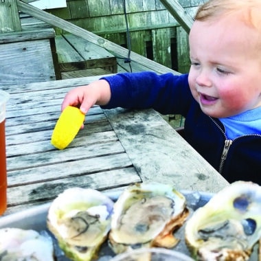 Nantucket oysters and coastal resilience