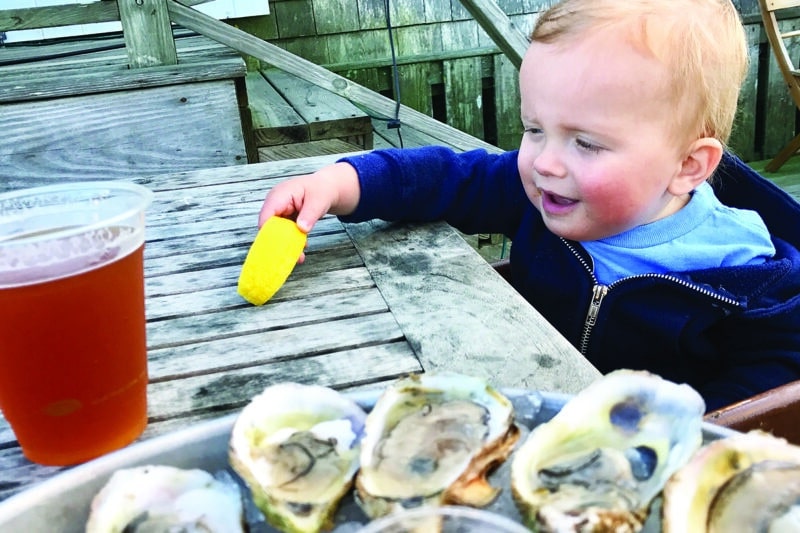 Nantucket oysters and coastal resilience