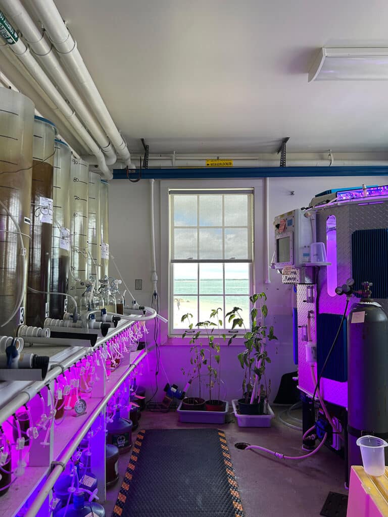 Nantucket oysters and coastal resilience