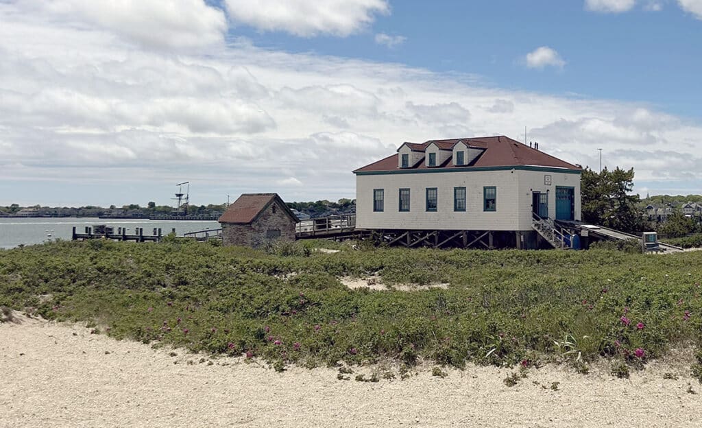 Nantucket oysters and coastal resilience