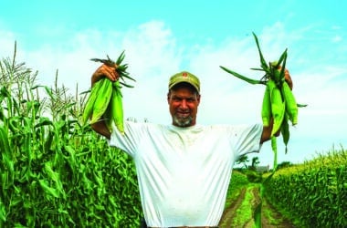 Bartlett’s Farm Nantucket 2025 man holding up corn