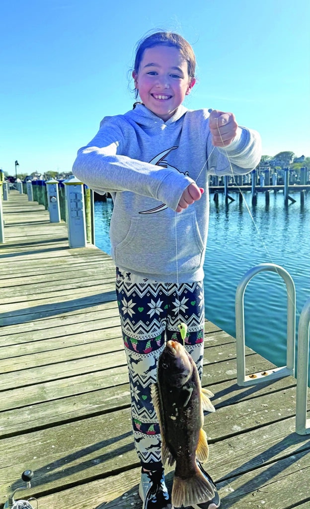 Nantucket tautog fishing 2025 Avery with a tautog
