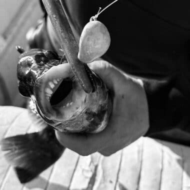 Nantucket tautog fishing 2025