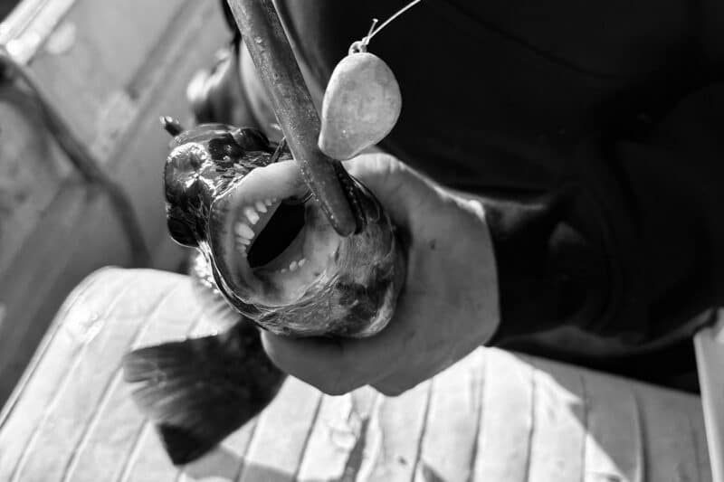 Nantucket tautog fishing 2025