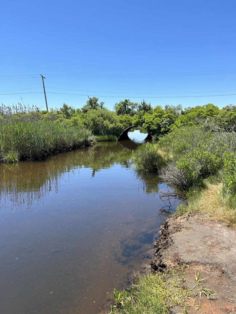 Madaket Ditch Nantucket