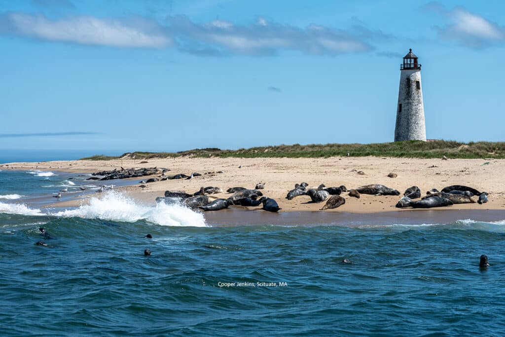 Great Point Nantucket fishing reopening