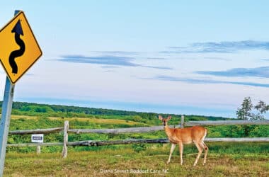 Nantucket deer hunting season 2025