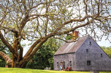 nantucket's oldest house with white mulberry tree