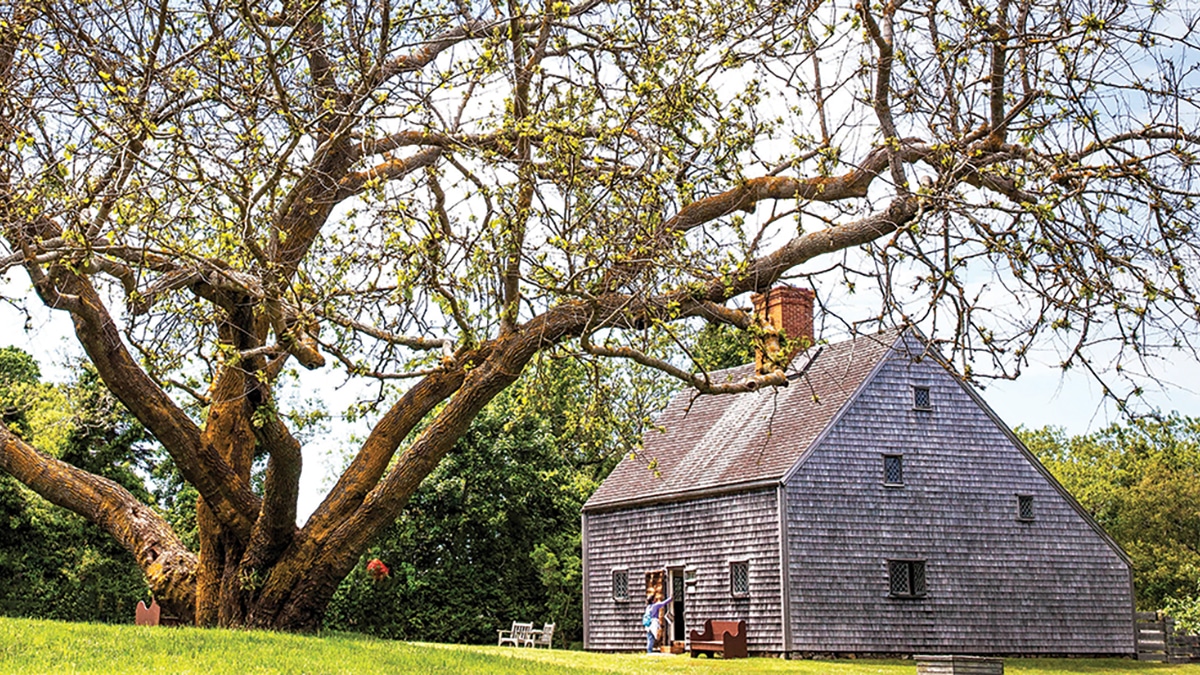 The Perfect Gray of Nantucket Island