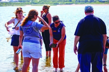 A naturalist photographs wildlife in a Nantucket habitat during the 2026 BioBlitz inter-island biodiversity competition using the iNaturalist app.