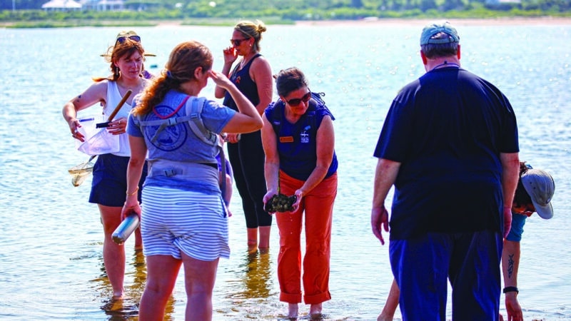 A naturalist photographs wildlife in a Nantucket habitat during the 2026 BioBlitz inter-island biodiversity competition using the iNaturalist app.