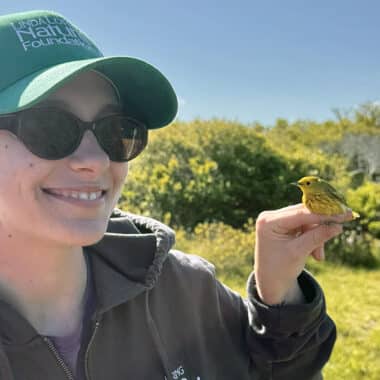 LLNF intern Ava Boettiger holds a yellow warbler during bird banding research, part of her Nantucket conservation internship.