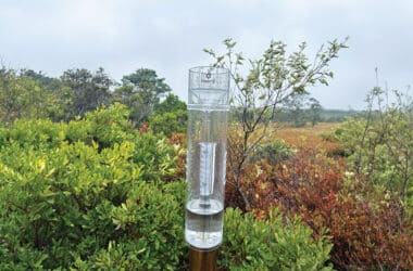 A CoCoRaHS rain gauge collects precipitation data used to track Nantucket's ongoing drought conditions.