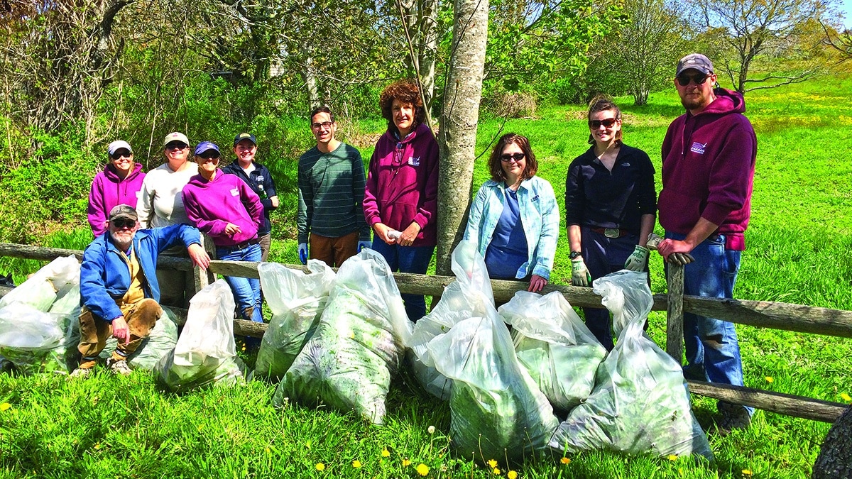 Learning from Invasives