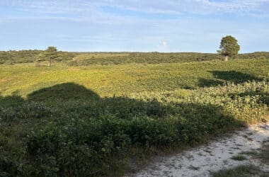 Sandy hiking trail winding through the Shawkemo Highlands on Nantucket.
