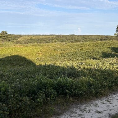 Sandy hiking trail winding through the Shawkemo Highlands on Nantucket.