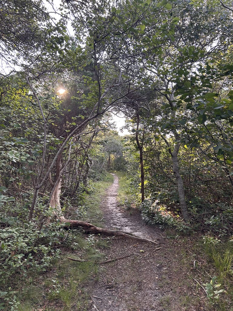 Narrow wooded trail through the Shawkemo Highlands on Nantucket.