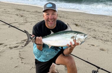 Angler holding a false albacore caught while surfcasting on a Nantucket beach.